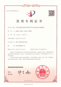 TCK_중국특허_ZL 2016 1 1190171